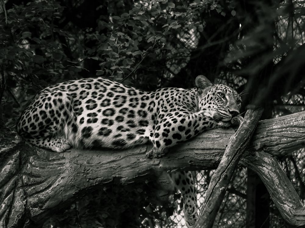 Photograph by Gotcha Biniashvili