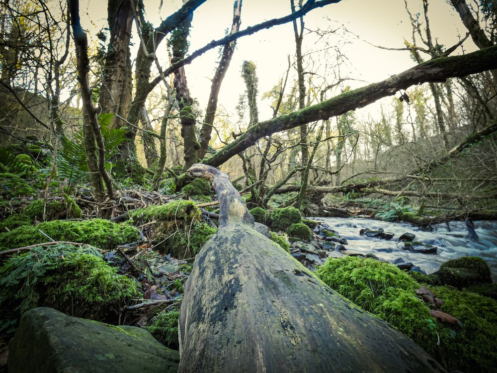 Фотография автора Michael Gault