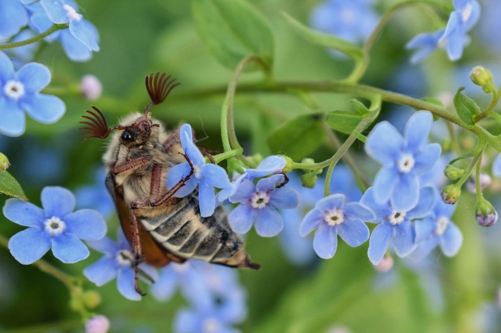 Photograph by Ольга