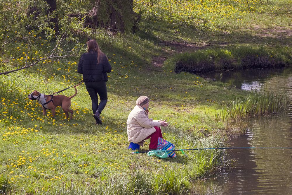 Photograph by Сурков Владимир