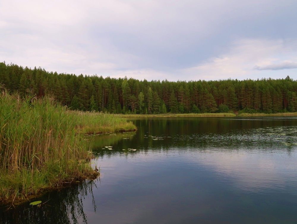 Photograph by Максим Абрамов