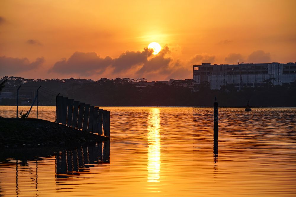 Photograph by Samuel Chan