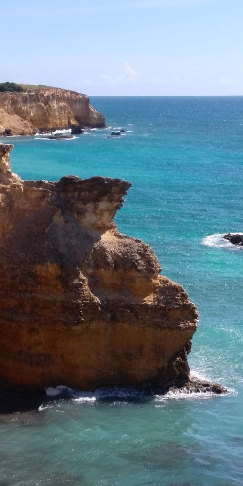 Pirate watching the sea.