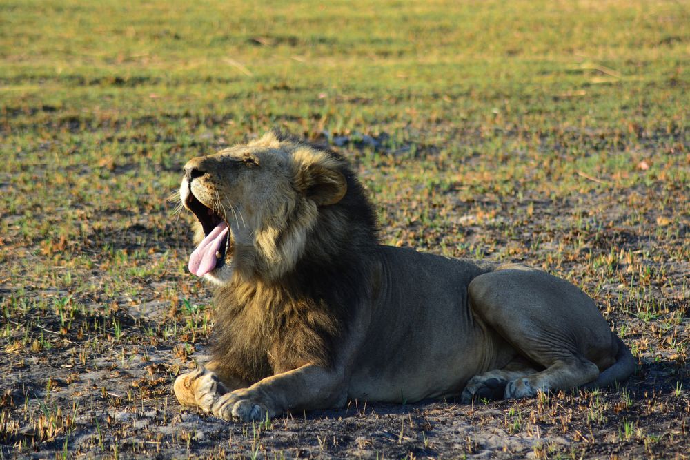 Photograph by Анатолий Орлов