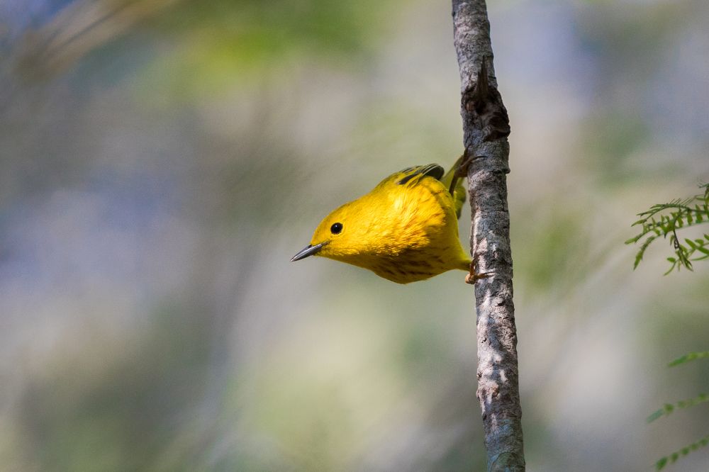 Photograph by Leonid Prado