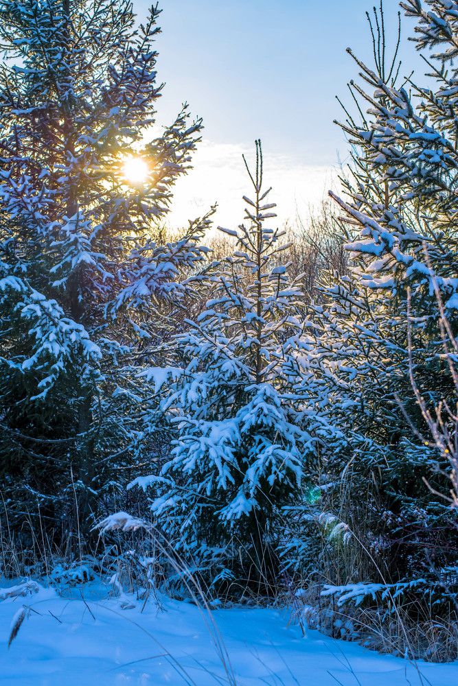 Photograph by Наталья Лещинская