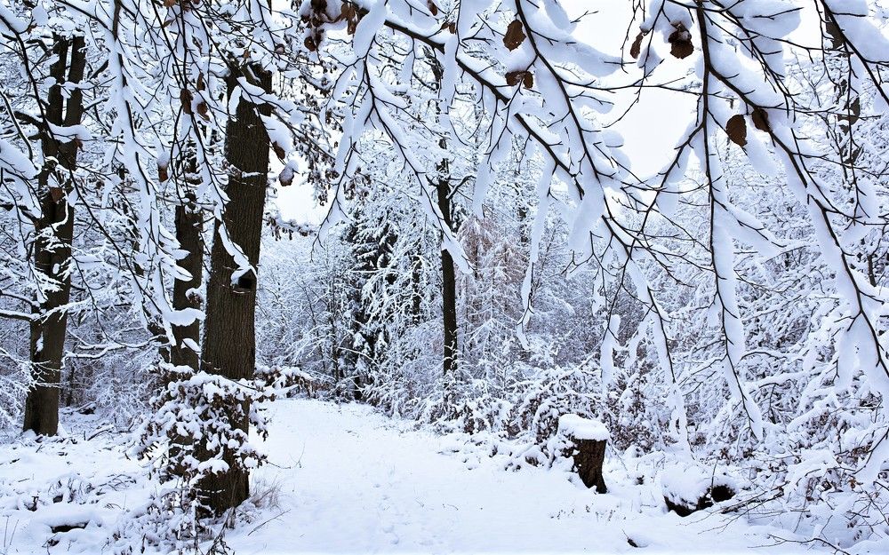 Photograph by Галина