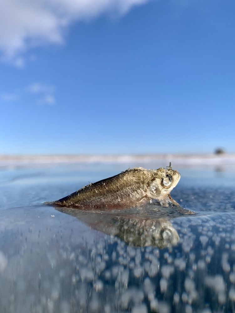 Photograph by Vladimir Belogorokhov