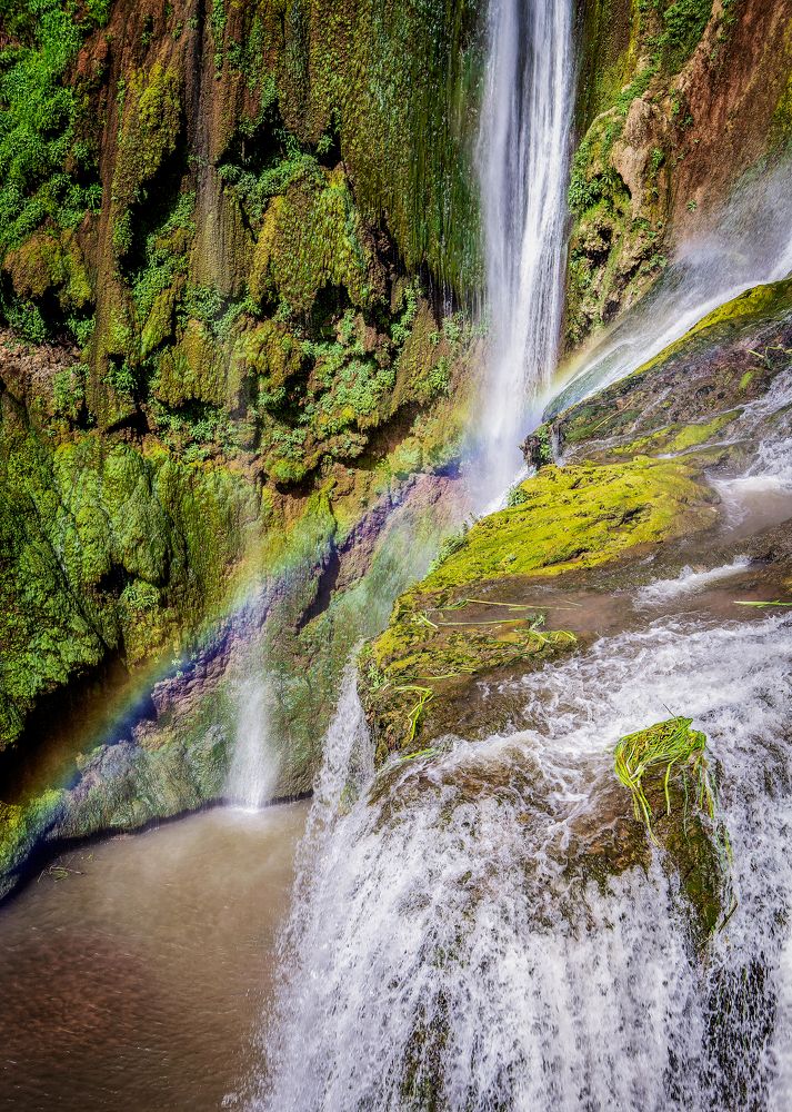 Photograph by Katja Sen