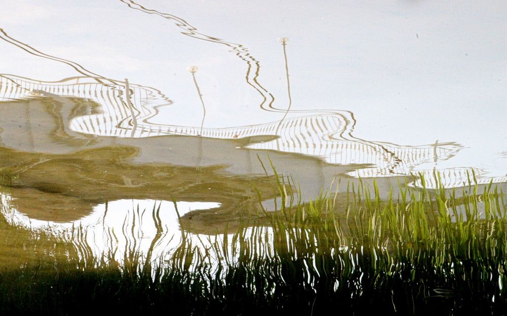 Photograph by Жанна Валиева