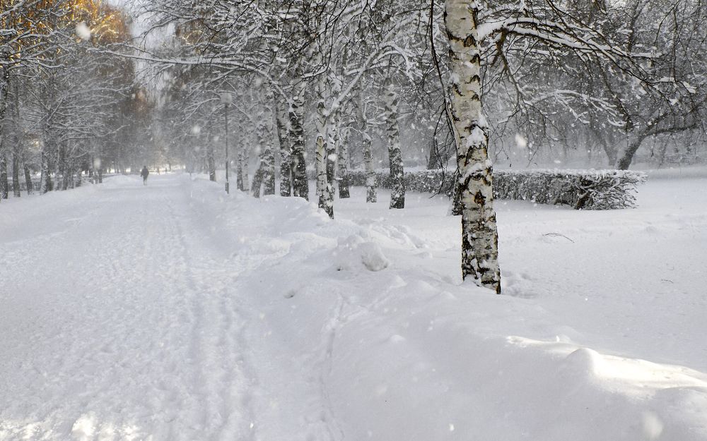 Photograph by Сергей Рудаков