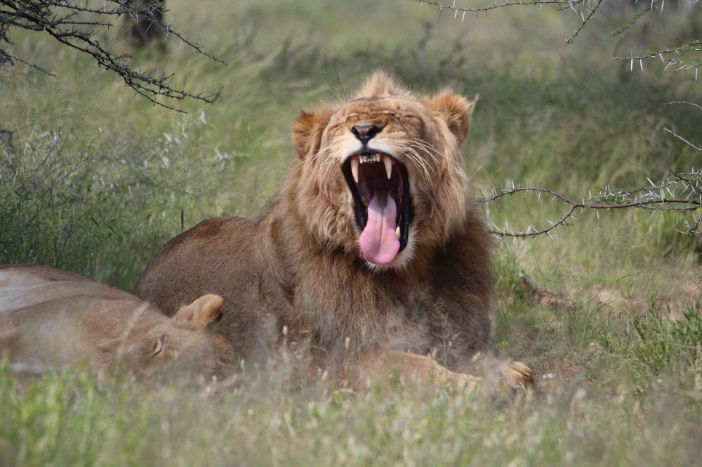 Photograph by Lucia Wepener
