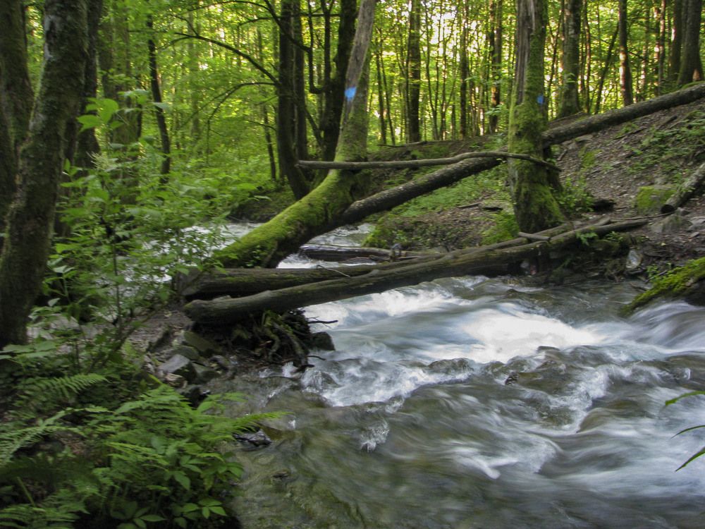 Photograph by Алексей Логинов