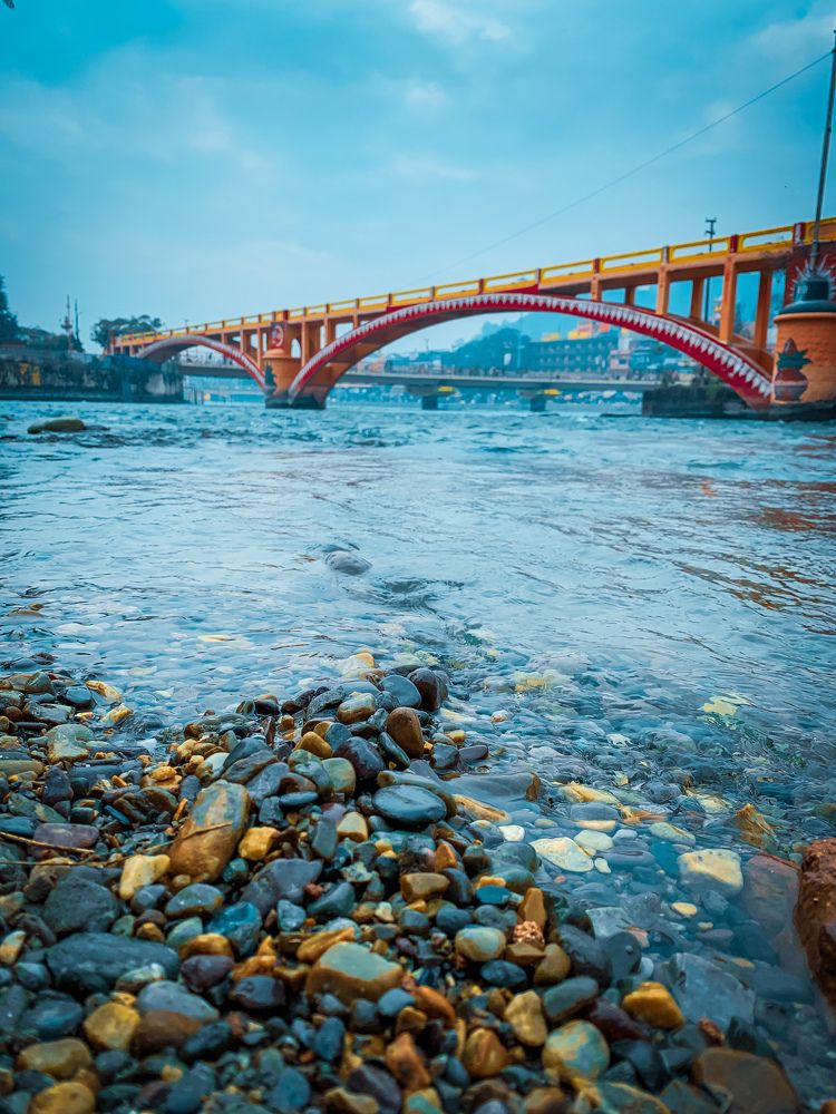 Photograph by Kanhaiya lal Yadav