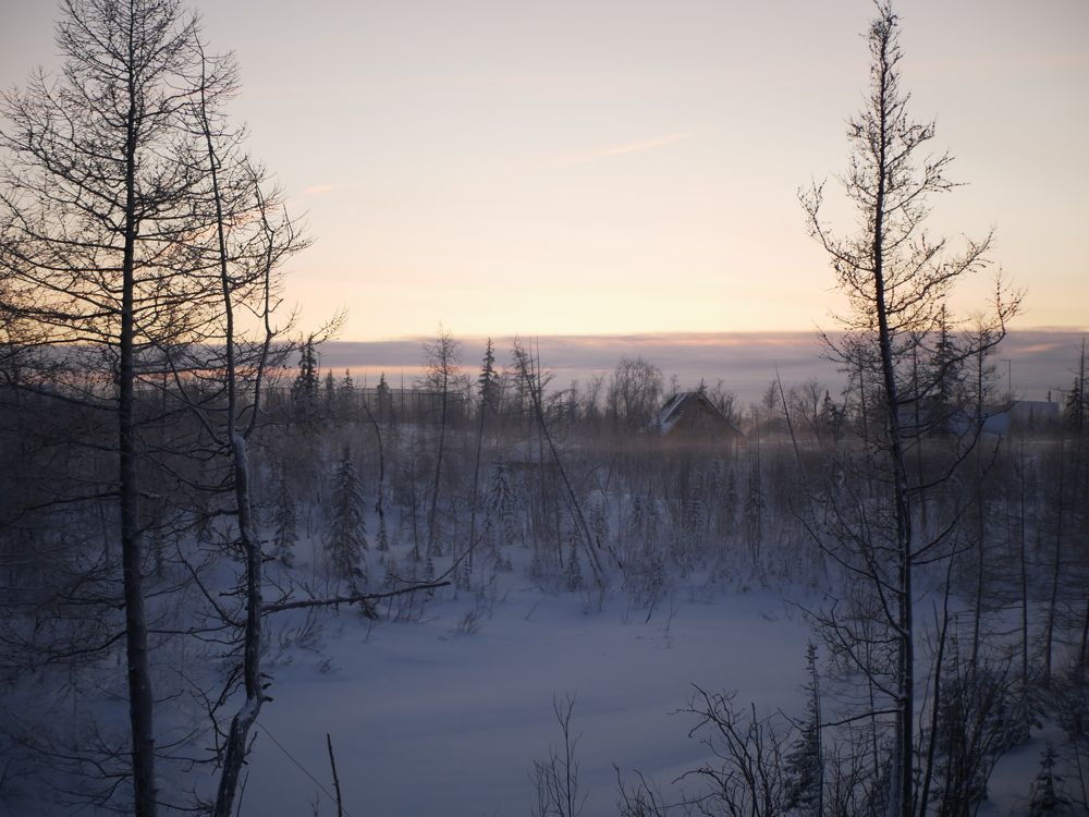 Photograph by Дмитрий Тюрин