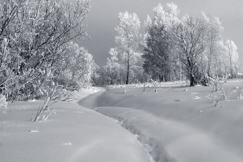 Photograph by Олег Тетерин