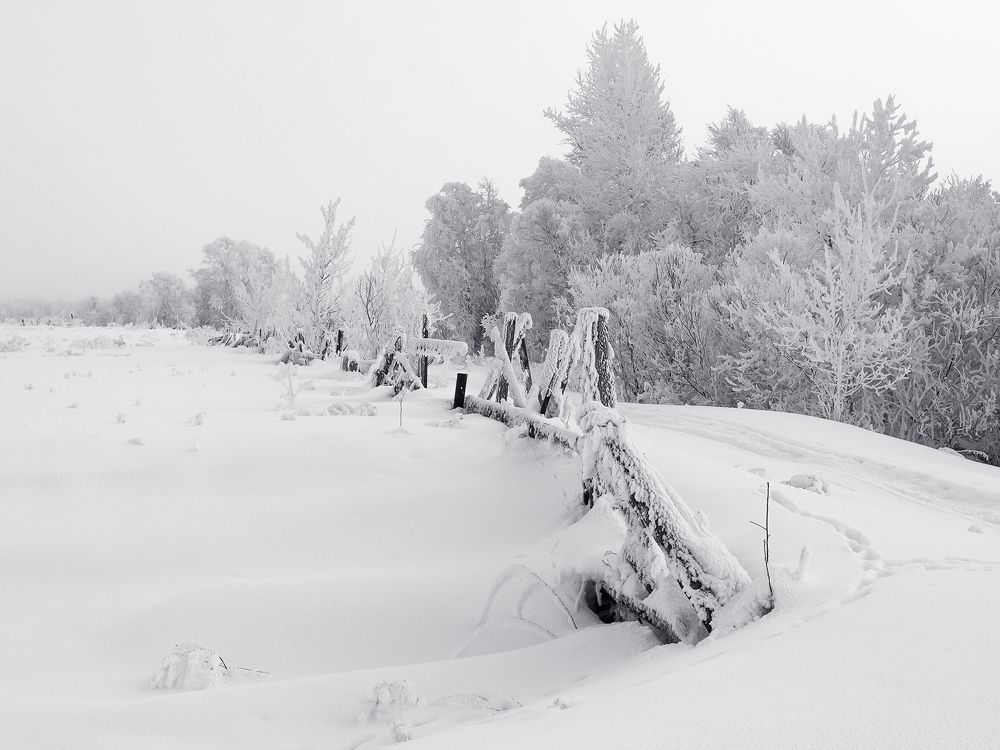 Photograph by Олег Тетерин