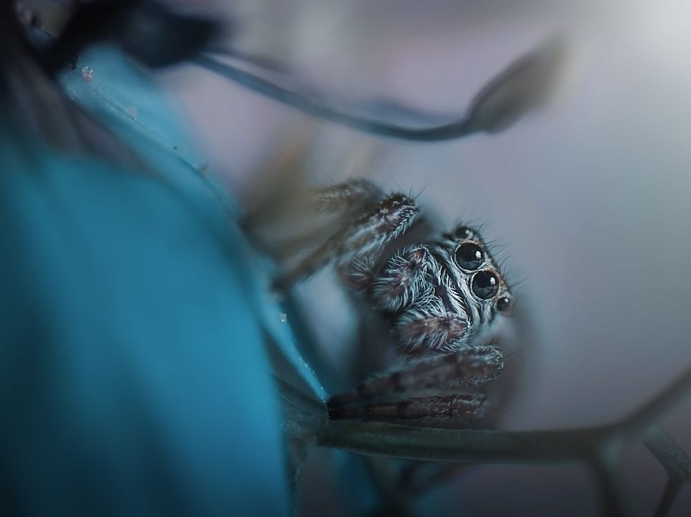 Photograph by Лапшина Владлена