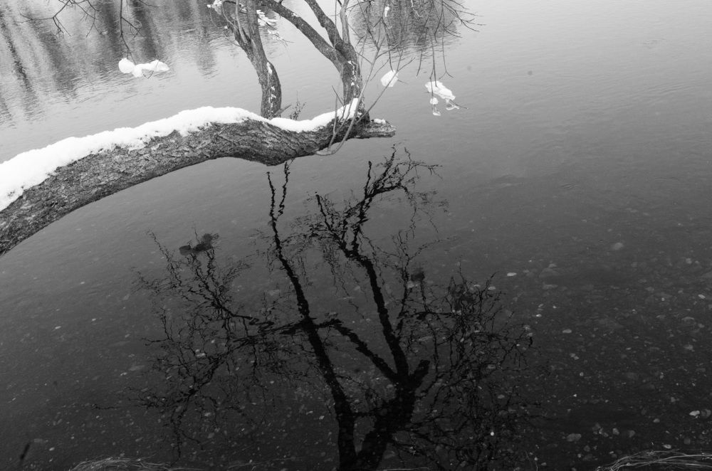 Photograph by Вадим Басов