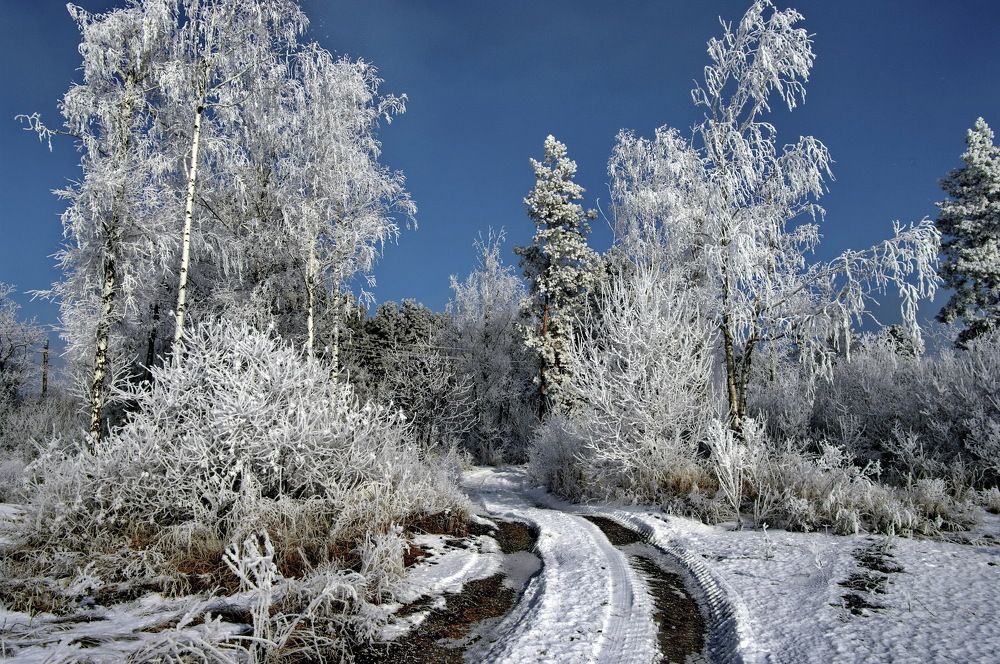 Photograph by Анатолий Святой