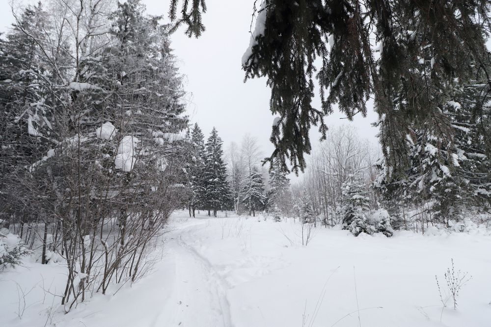 Photograph by Светлана Семакина