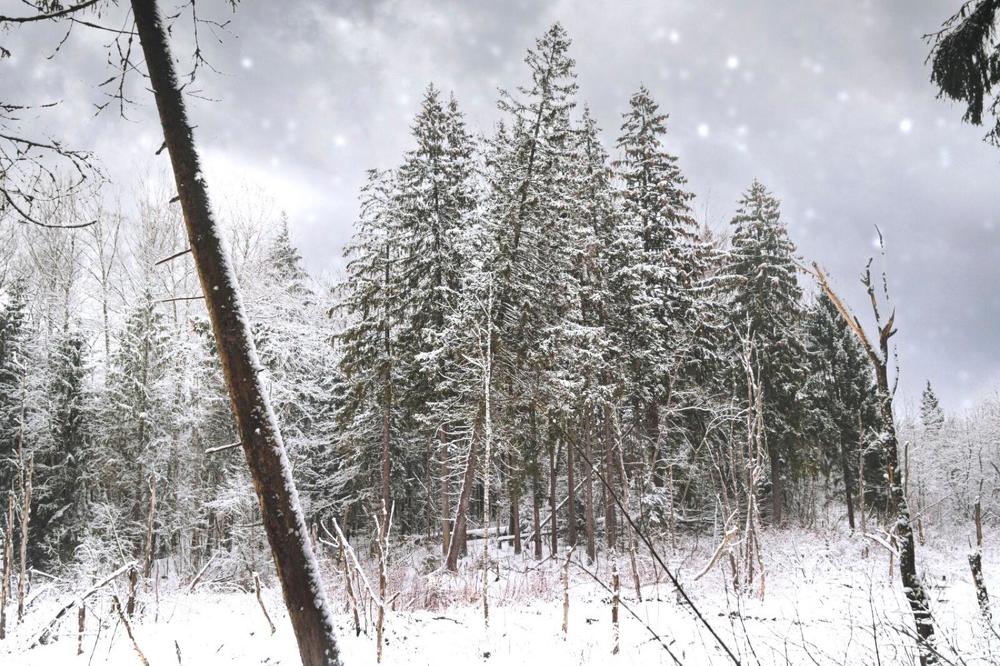 Photograph by Иван Архаров