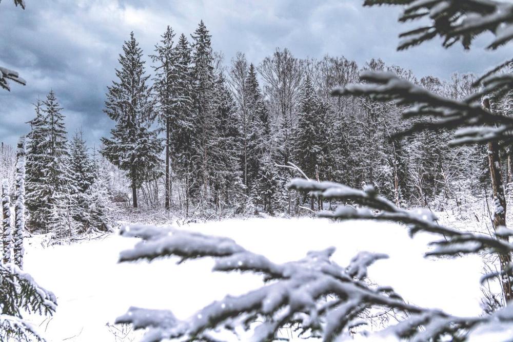 Photograph by Иван Архаров