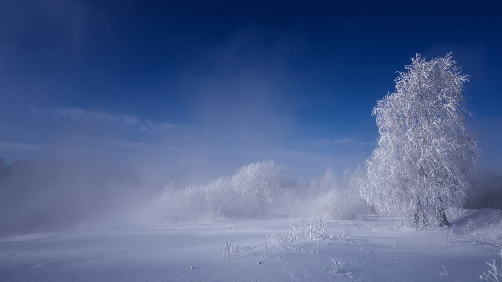Фотография автора Александр Рудный