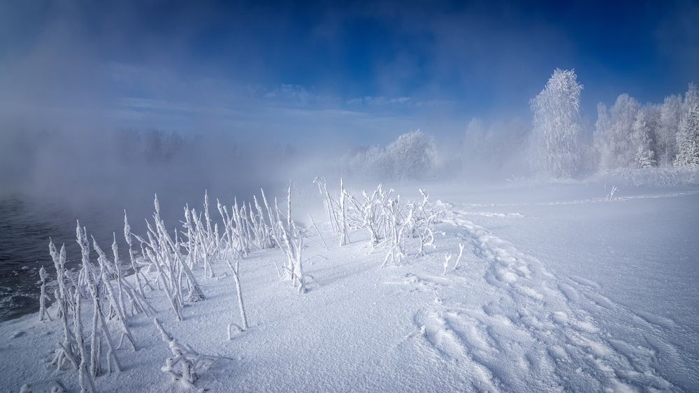 Фотография автора Александр Рудный