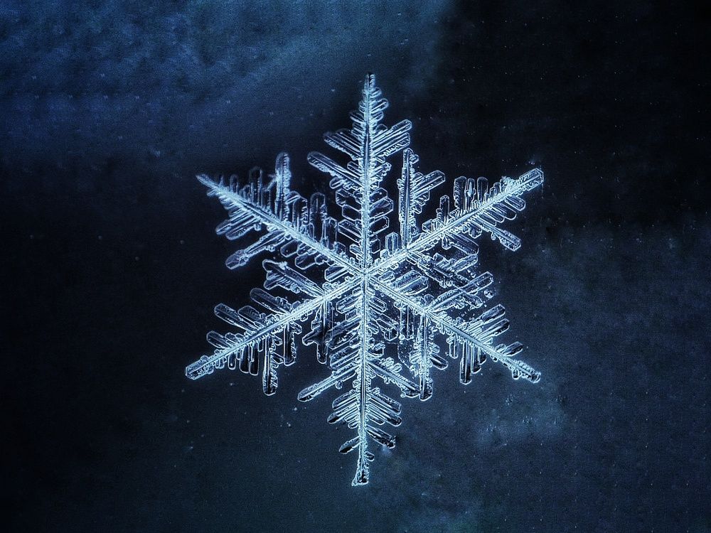 Photograph by Наталья