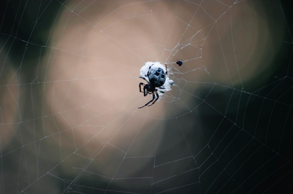 Photograph by Евгений Кузьмин