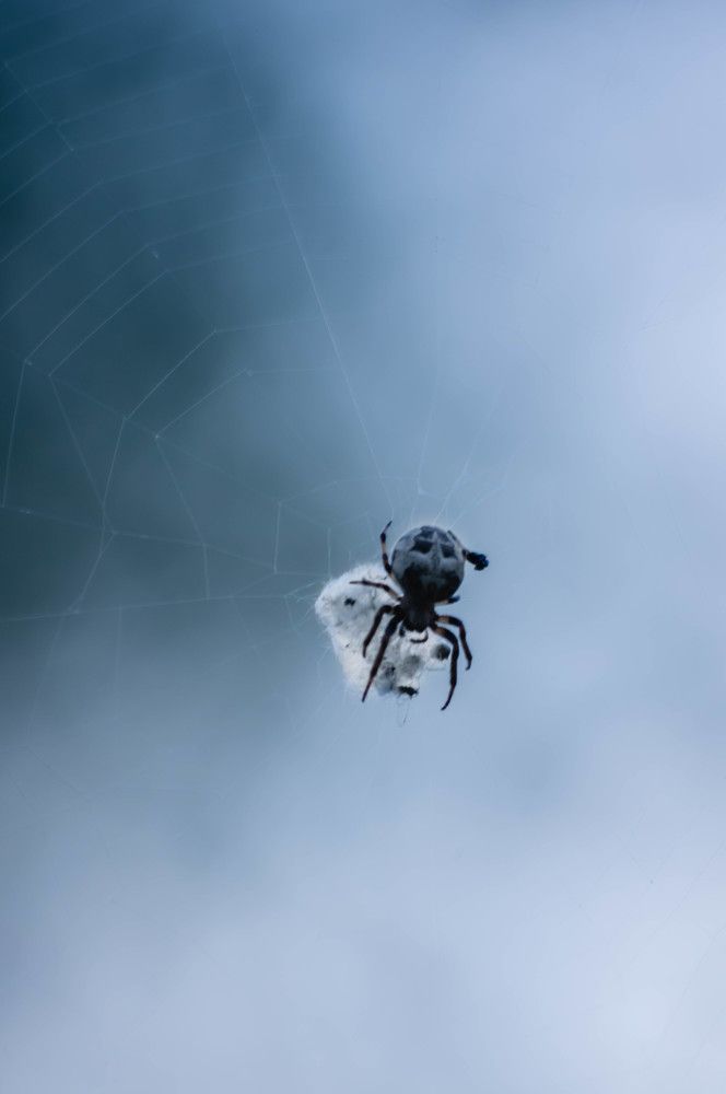 Photograph by Евгений Кузьмин