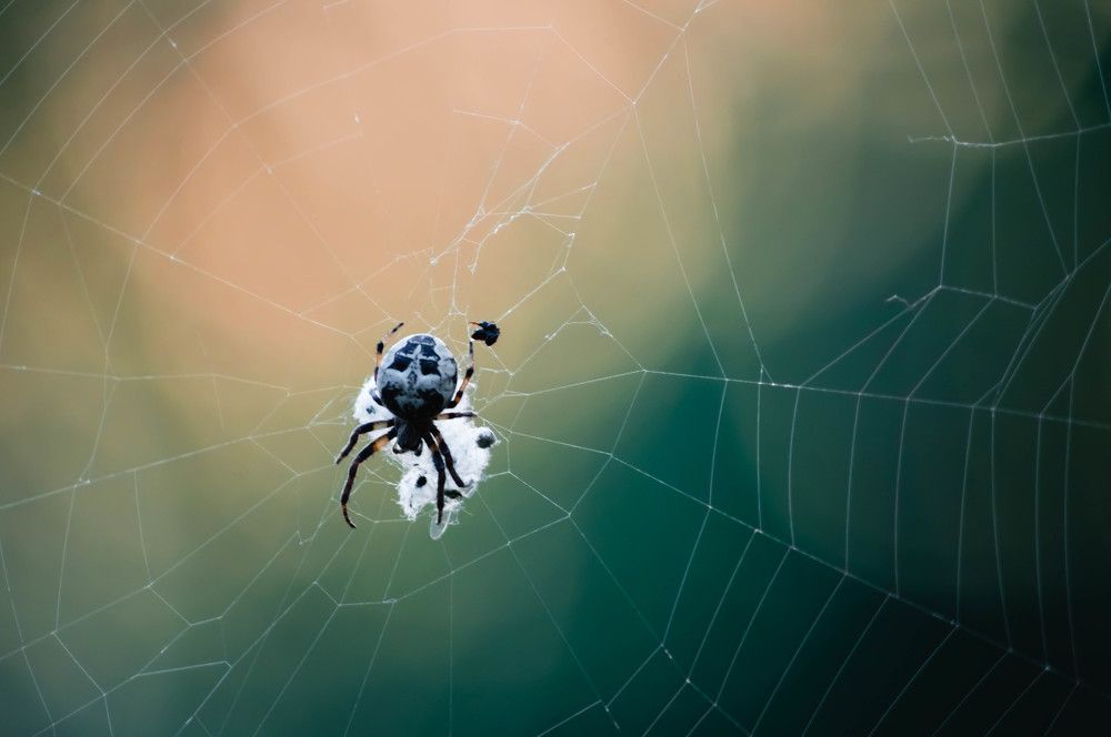 Photograph by Евгений Кузьмин