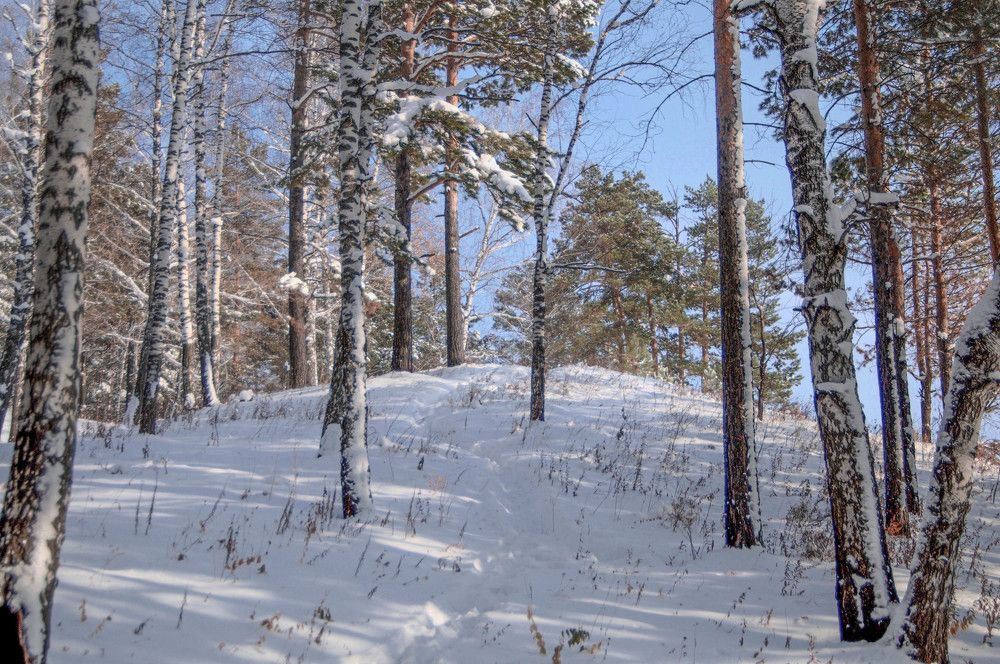 Photograph by Владимир Рандин