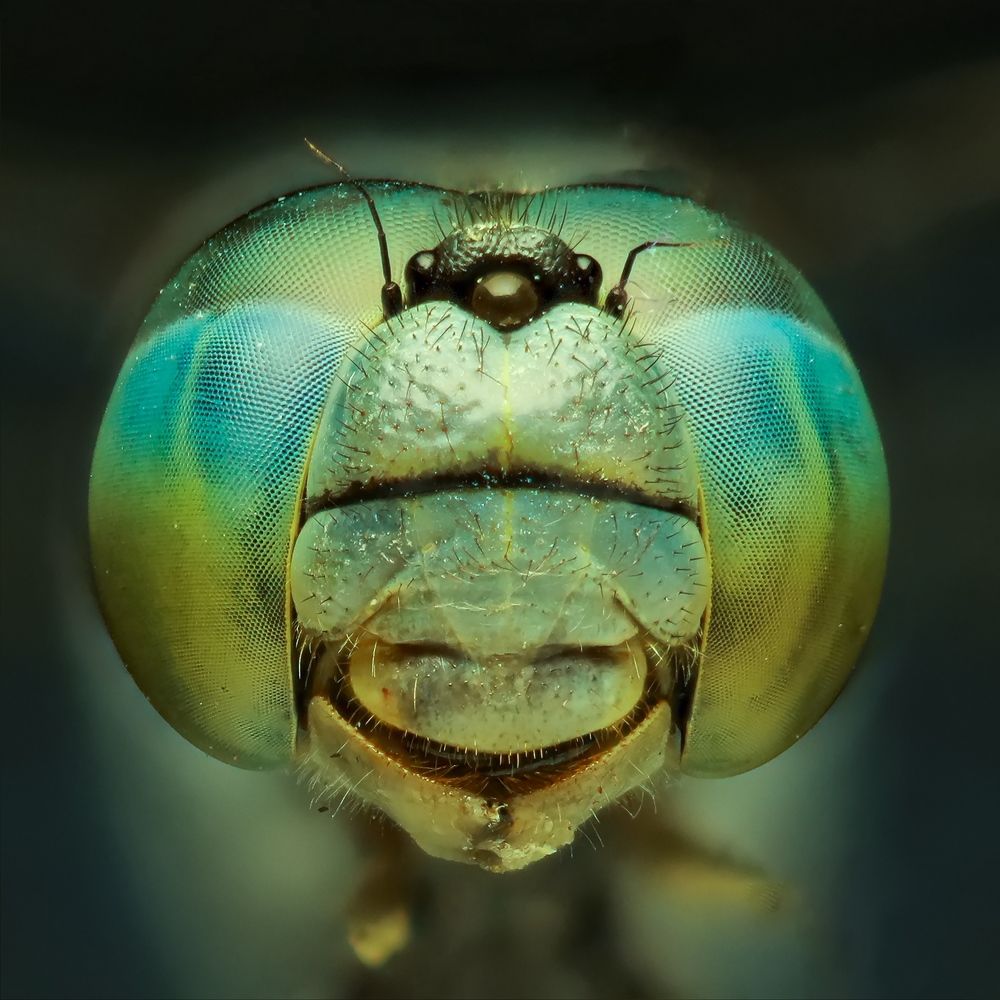 Фотография автора Navamani James