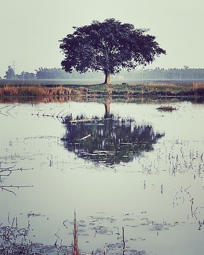 Фотография автора Sayan Das