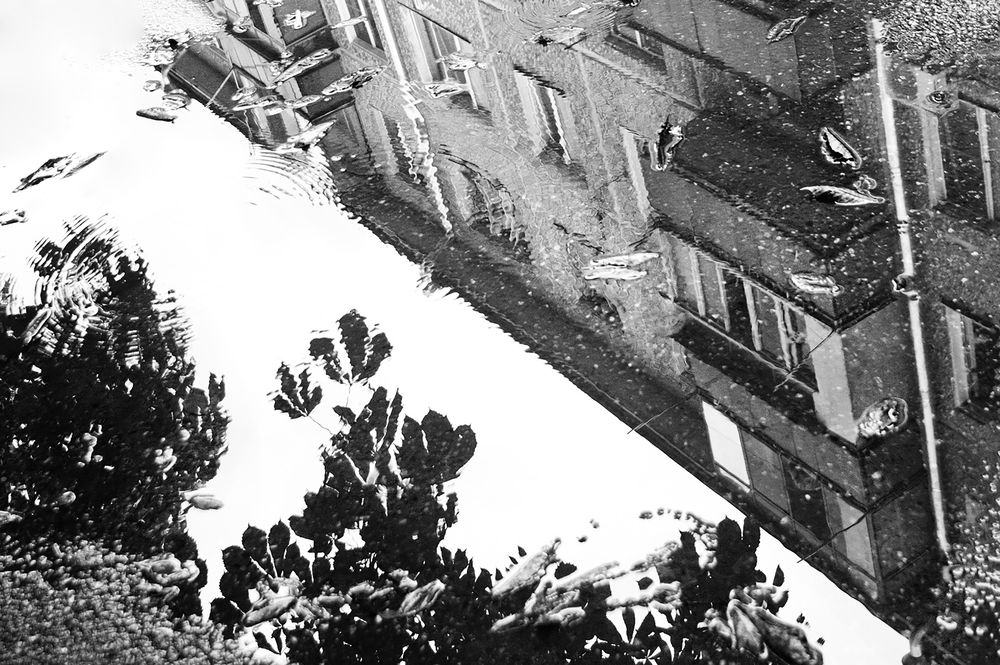 Photograph by Анна