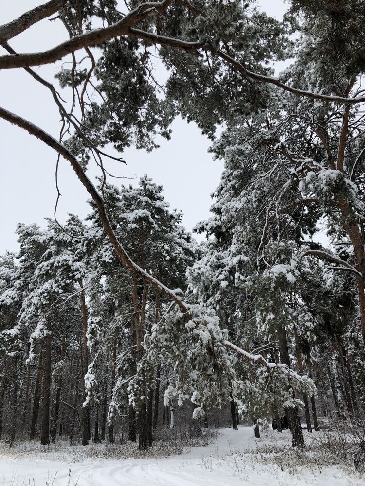 Photograph by Ксения