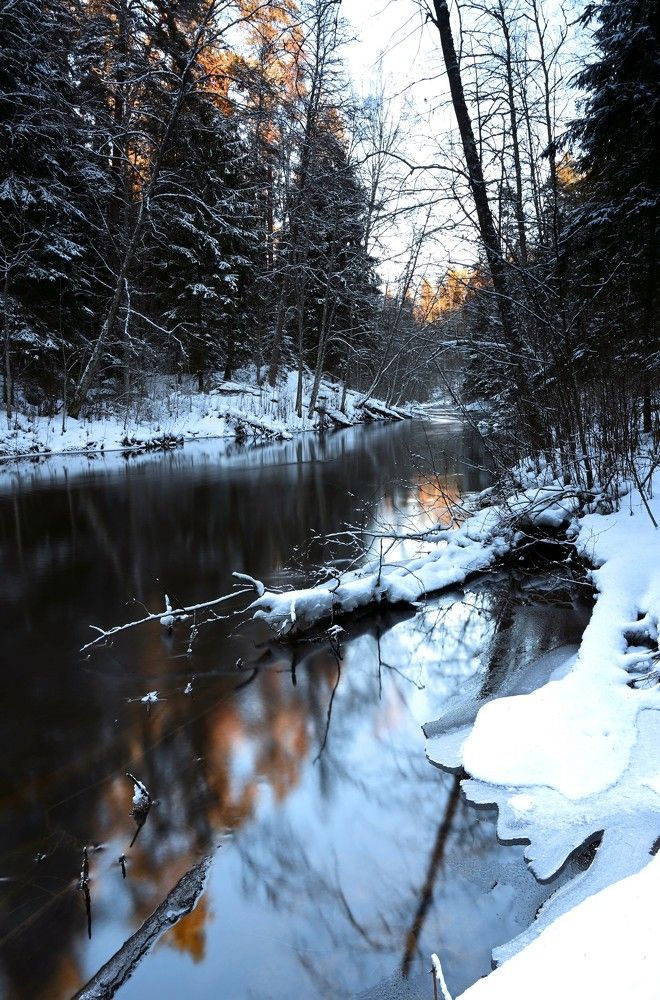 Photograph by Ija Reiman