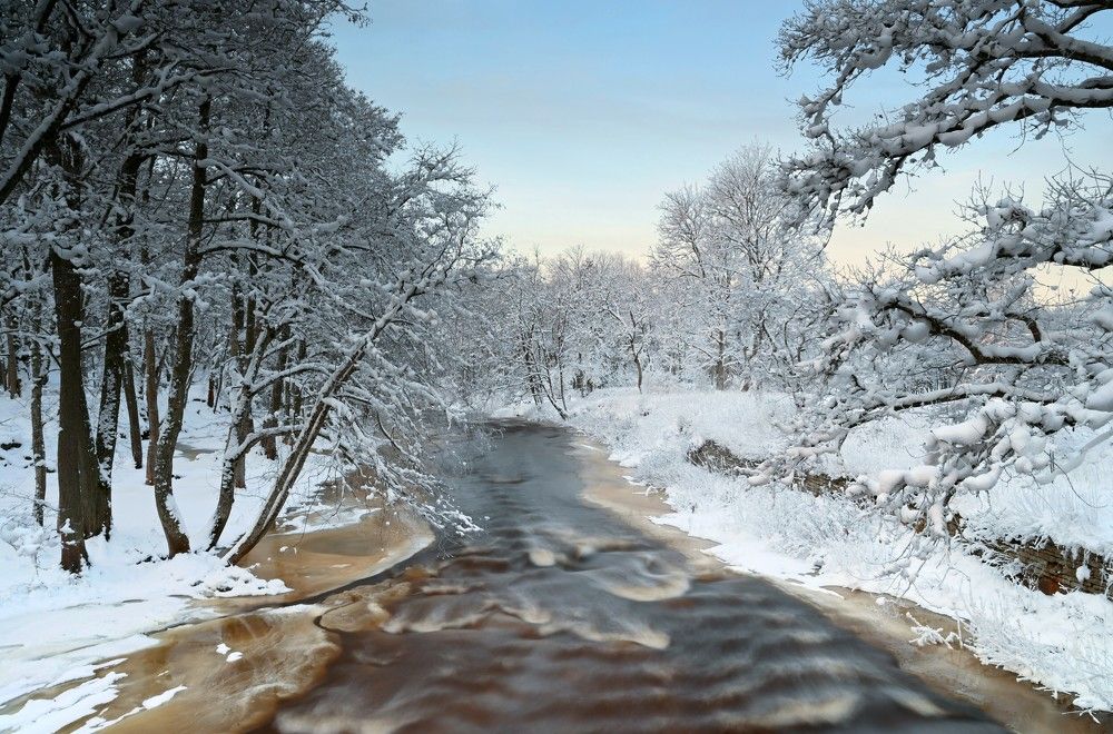 Photograph by Ija Reiman