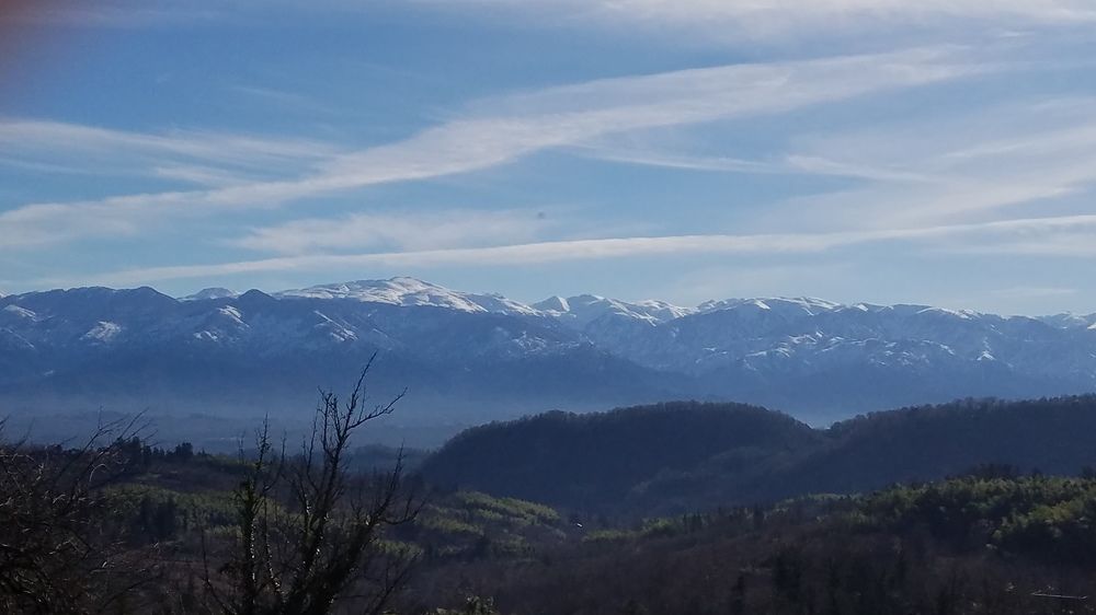 Photo #6977337