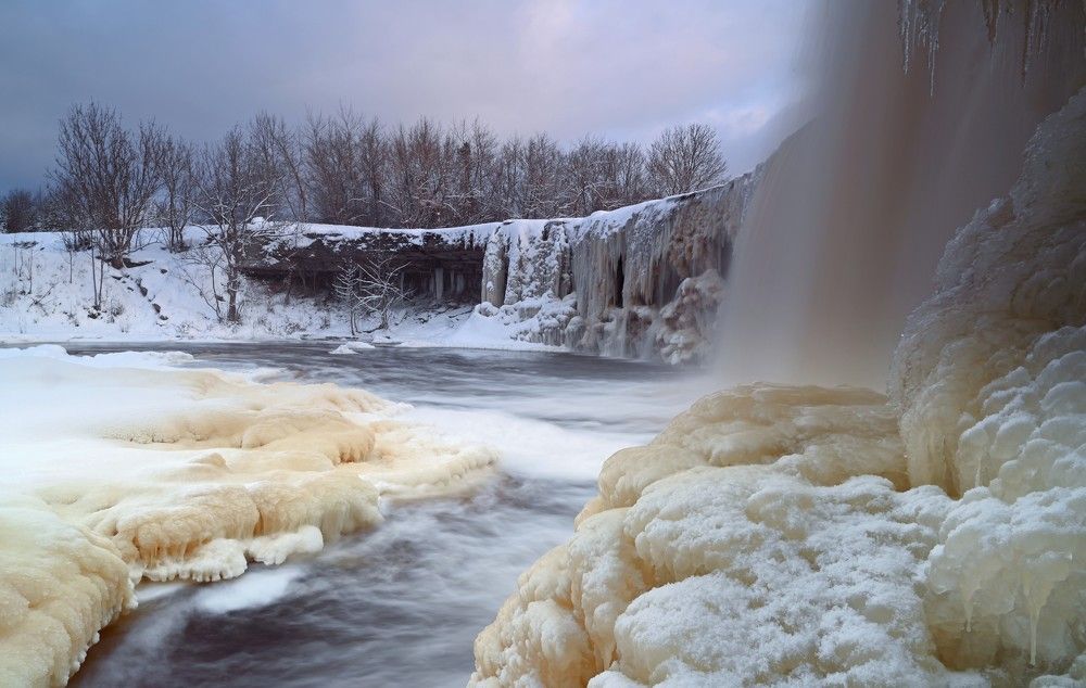 Photograph by Ija Reiman