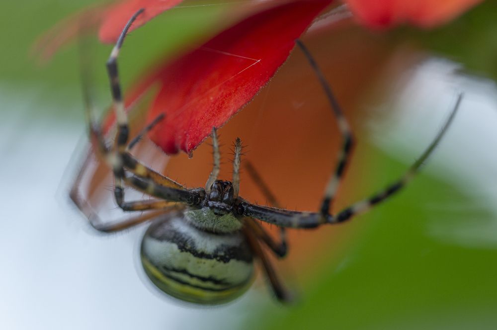 Photograph by Юрій Стороженко