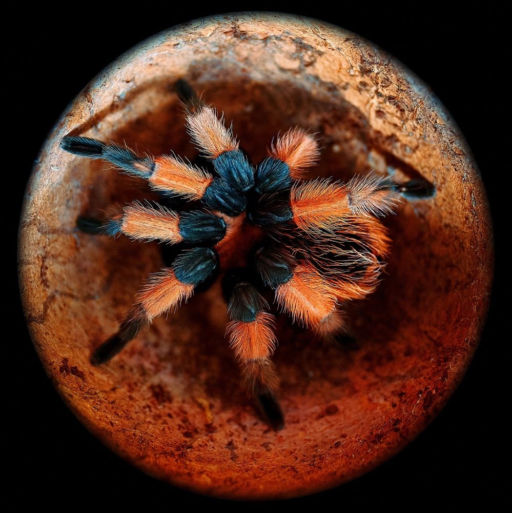 Photograph by Сергей Скоробогатов