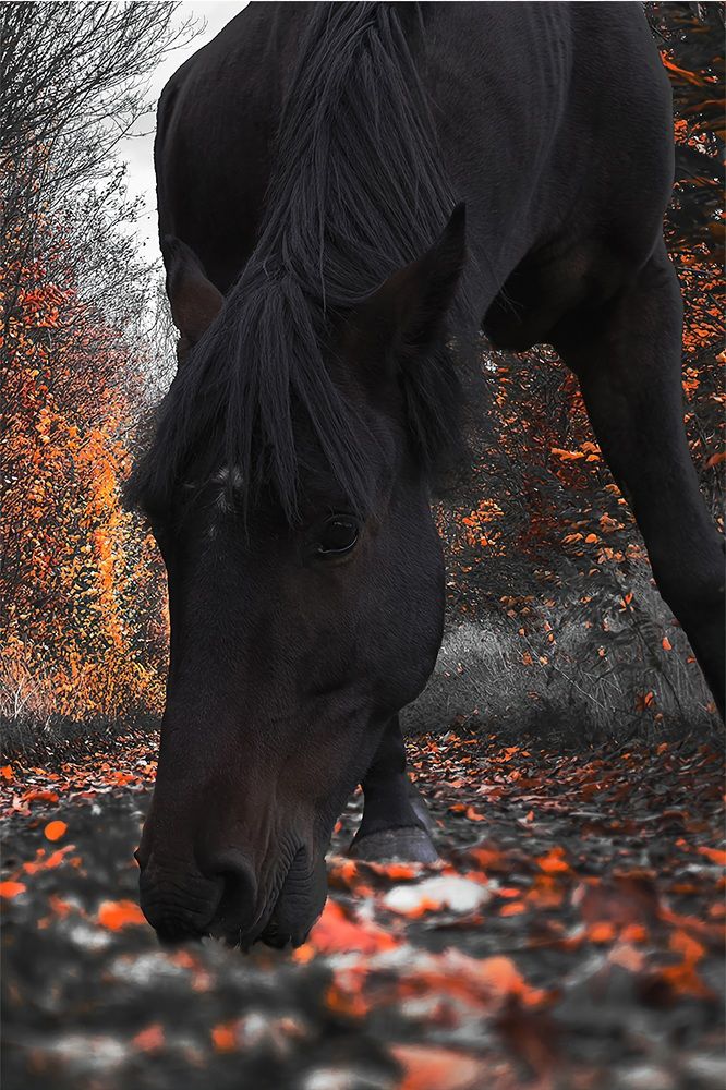 Photograph by Jaime Molina