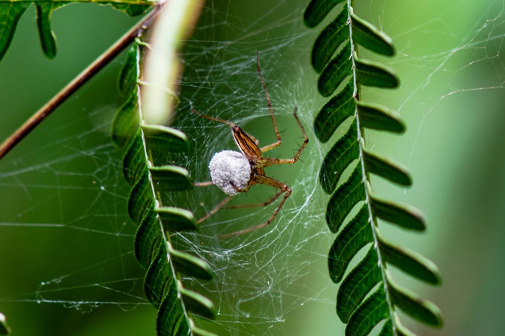 Me and my off spring to be...