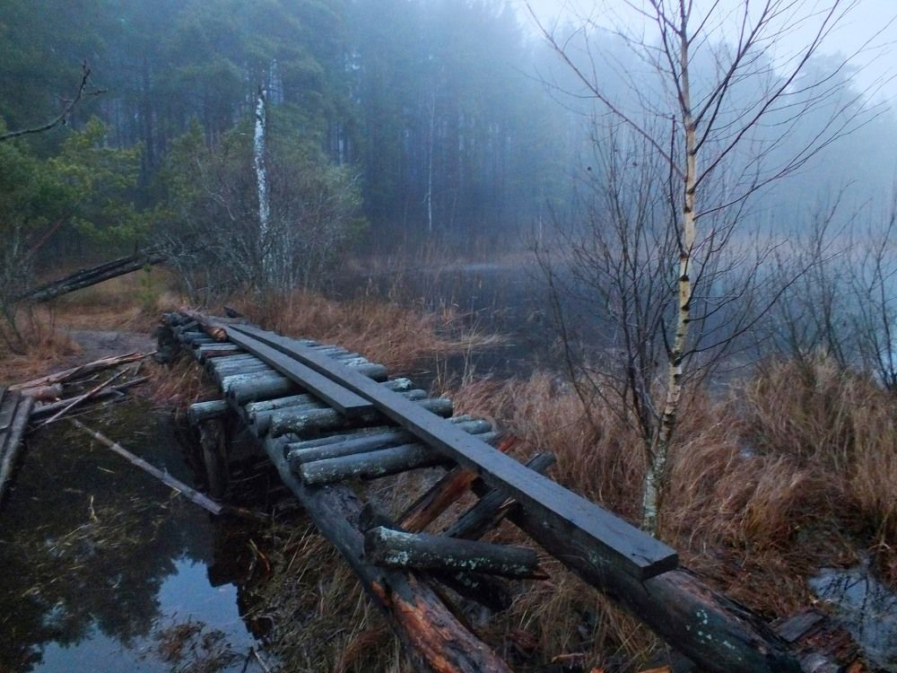 Photograph by Дмитрий Крылов