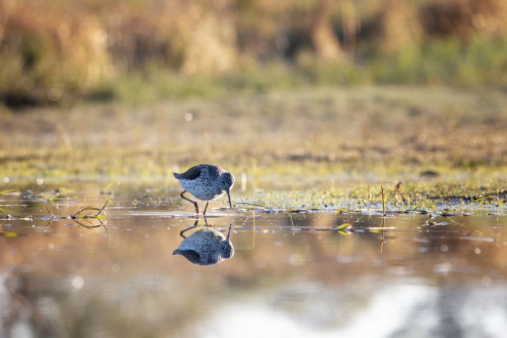 Photograph by Marcin Parzybut