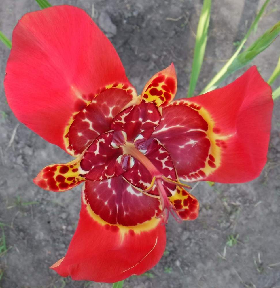 Photograph by Еlena Sukhoruchenkova