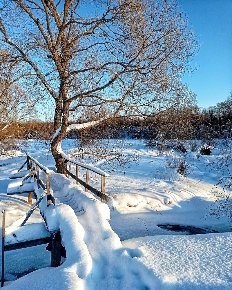 Photograph by Ольга Третьякова